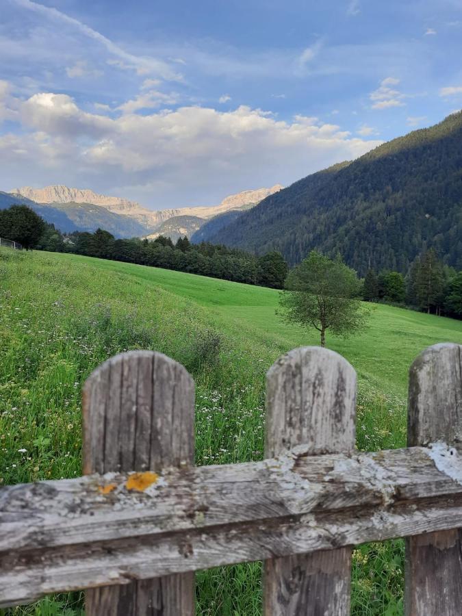 Apartament Dolomiti Di Brenta House Madonna Zewnętrze zdjęcie