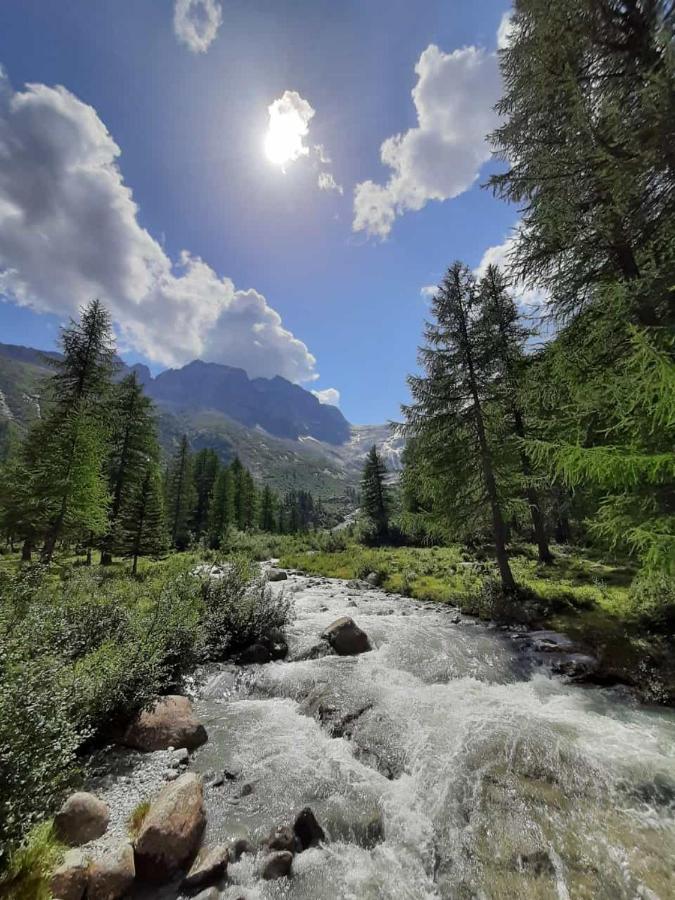 Apartament Dolomiti Di Brenta House Madonna Zewnętrze zdjęcie