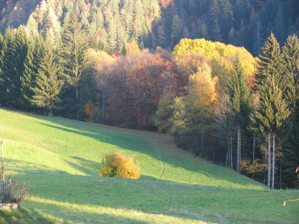 Apartament Dolomiti Di Brenta House Madonna Pokój zdjęcie