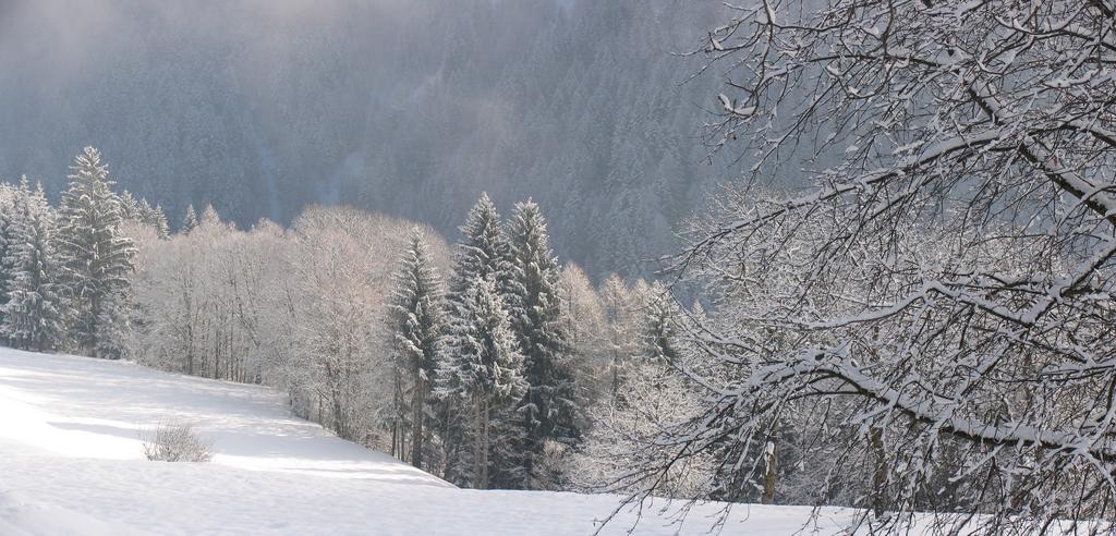 Apartament Dolomiti Di Brenta House Madonna Pokój zdjęcie